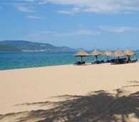 Another Tet Offensive