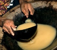 How to Drink Kava in Fiji