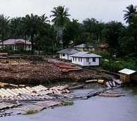 Black Gold and the Golden Rule