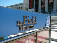 field
