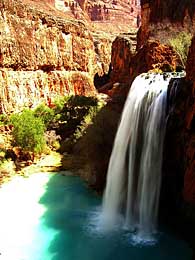 havasu