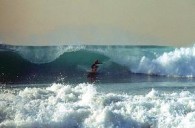 surfingthumb