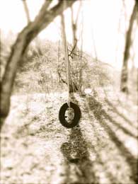 tireswing