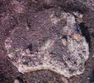 Australia in rock form