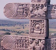 The Old Woman Under the Tree