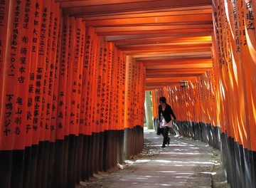Torii in Japan