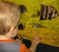 What We Loved This Week: Palau, the O.C. and the National Aquarium Through a Child’s Eyes