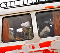 An Invitation Aboard the Magic Bus