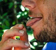 lick and ant in Australia