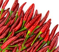 The Heat Seeker: Eat, Sweat, Love