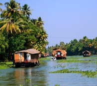 The Heat Seeker: Spicier, Please!