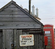 Cornwall countryside biking tour