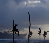 Photo You Must See: Stilt-Fishing in Sri Lanka