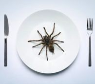 How to Eat Fried Tarantulas in Cambodia