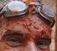 La Tomatina Festival photo