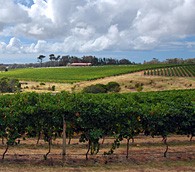 Margaret River Valley, Western Australia