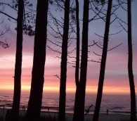 What We Loved This Week: Ja Rule, Baltic Sunsets and a Hastily Made Cleveland Tourism Video