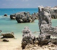 Uighur Tourism in Bermuda?