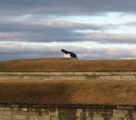 No War Re-Enactments, Please, We’re Canadian