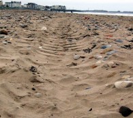 The Littered Beaches of Britain