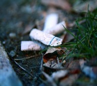 When (So-Called) Eco-Travelers Sin