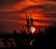 A Solar-Powered City to Debut in Florida