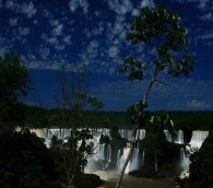 Can Eco-Travelers Save the World’s Rainforests?