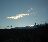 Tucson, Arizona: Moments of Zen