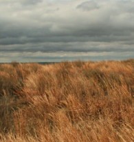 America: One Quote, One Photo