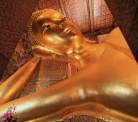 Sneeze Your Way to Savings?