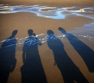 plato shadows