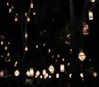 What We Loved This Week: La Vela Puerca in Hamburg, Tavern on the Green and More