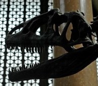 Museums on Film: Three Memorable Moments