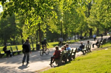 Boston Commons Public Gardens