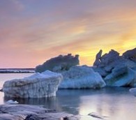 ‘Any Bears Around Today?’