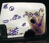 Why Aren’t Students Reading Travel Books?