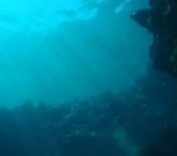 Video You Must See: Underwater Free Fall in the Bahamas