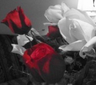 ‘The Old Man Isn’t There Anymore’