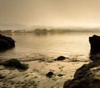 The Accidental Tsunami Rider