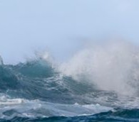 Let’s See What’s Down There