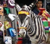 Tijuana Embraces its Touristy ‘Zonkeys’