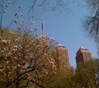 What We Loved This Week: New York City, Alaskan Beer and Comparing Notes with Fellow Travelers