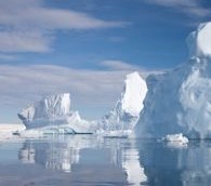 What We Loved This Year: Our Favorite World Hum Stories