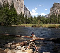 Yosemite National Park, California