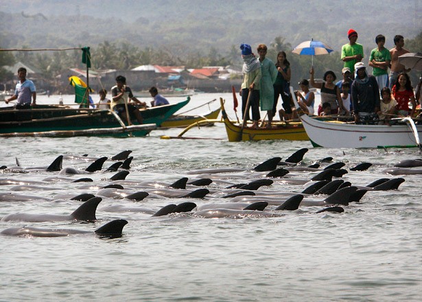 Orion City, Philippines