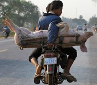 Moung Russey, Cambodia