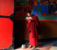 tibetan monk