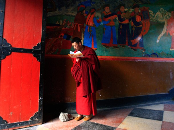 tibetan monk
