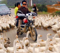 Huishui County, China