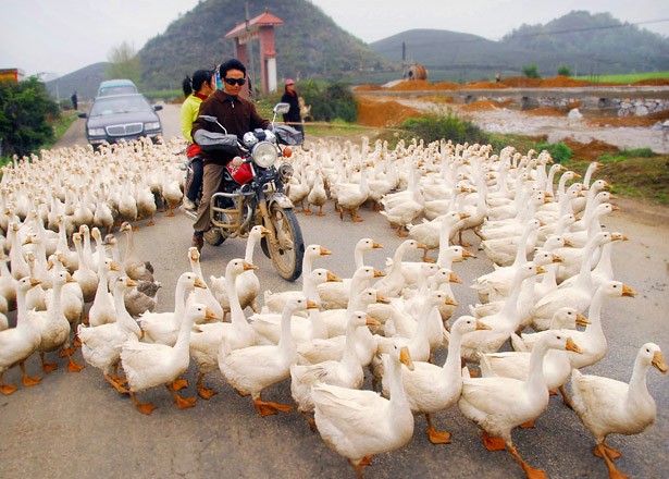 Huishui County, China
